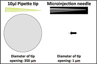 tips 4